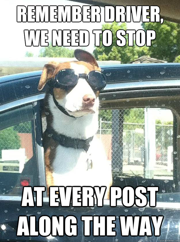 Remember Driver, 
we need to stop at every post along the way - Remember Driver, 
we need to stop at every post along the way  Excellent Dog