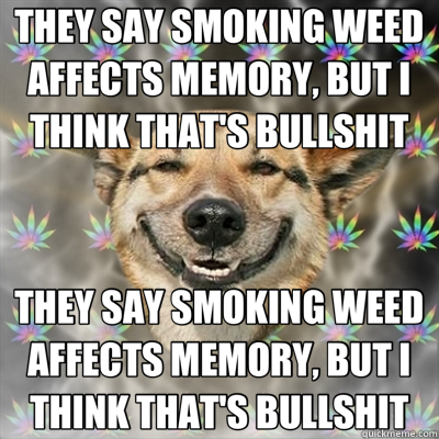 THEY SAY SMOKING WEED AFFECTS MEMORY, BUT I THINK THAT'S BULLSHIT THEY SAY SMOKING WEED AFFECTS MEMORY, BUT I THINK THAT'S BULLSHIT - THEY SAY SMOKING WEED AFFECTS MEMORY, BUT I THINK THAT'S BULLSHIT THEY SAY SMOKING WEED AFFECTS MEMORY, BUT I THINK THAT'S BULLSHIT  Stoner Dog