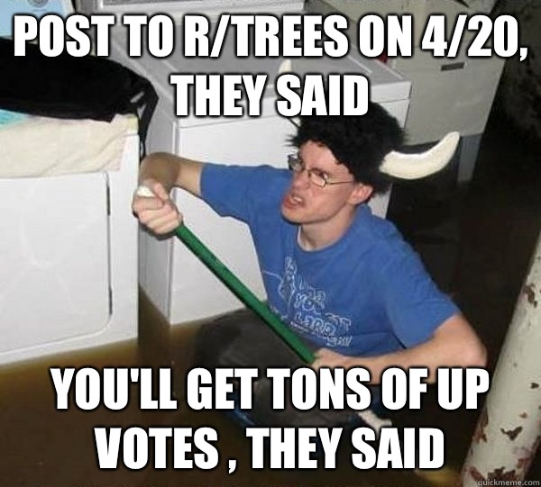 Post to r/trees on 4/20, they said You'll get tons of up votes , they said  They said