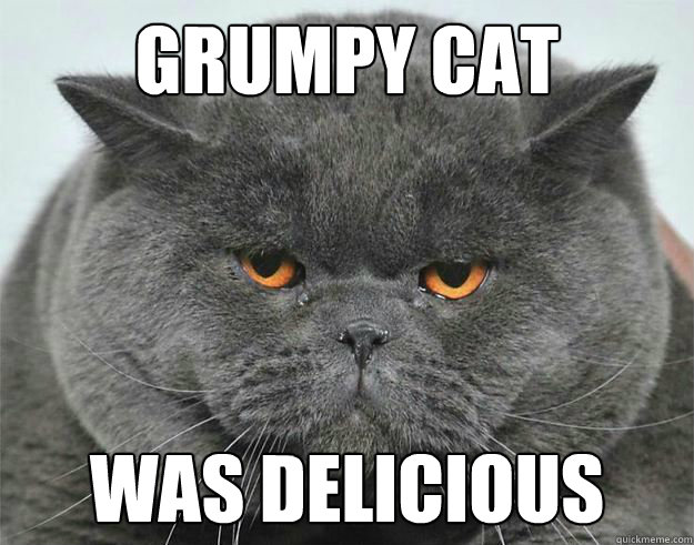 Grumpy Cat was delicious - Jaba the Cat - quickmeme