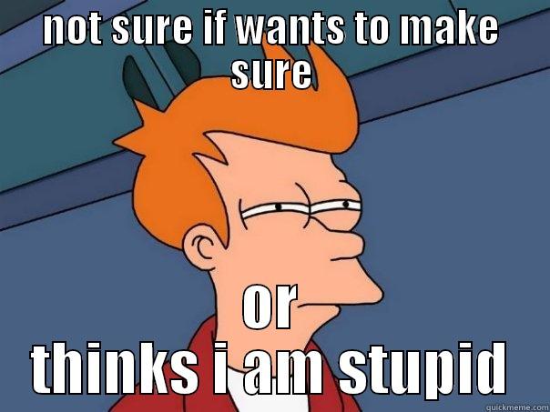 NOT SURE IF WANTS TO MAKE SURE OR THINKS I AM STUPID Futurama Fry
