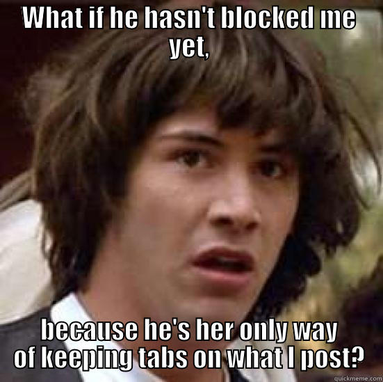 WHAT IF HE HASN'T BLOCKED ME YET, BECAUSE HE'S HER ONLY WAY OF KEEPING TABS ON WHAT I POST? conspiracy keanu