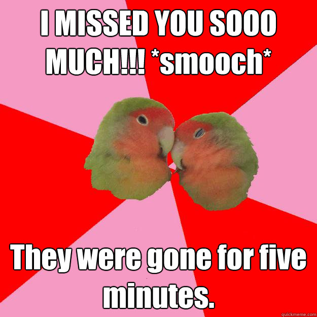 I MISSED YOU SOOO MUCH!!! *smooch* They were gone for five minutes.  Annoying Lovebirds