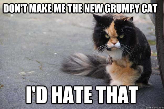Don't make me the new grumpy cat I'd hate that  Angry Cat