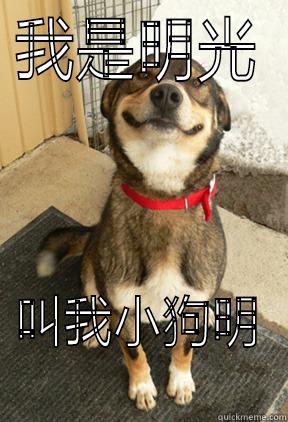 我是明光 叫我小狗明 Good Dog Greg