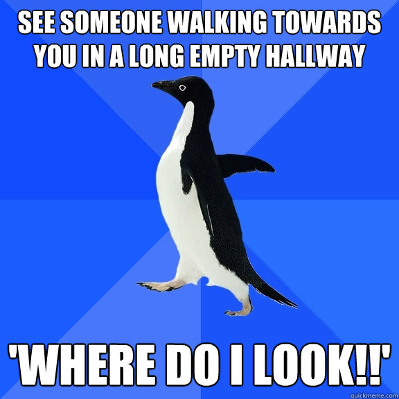 See someone walking towards you in a long empty hallway 'Where do I look!!'  Socially Awkward Penguin
