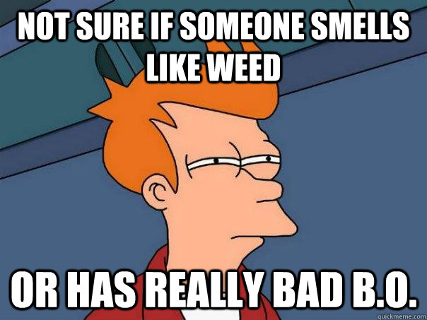 Not sure if someone smells like weed Or has really bad b.o.  Futurama Fry
