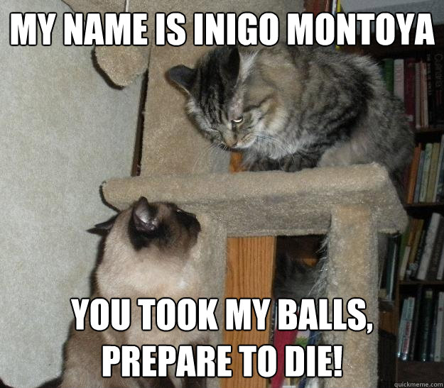 My name is Inigo Montoya  You took my balls, prepare to die!  