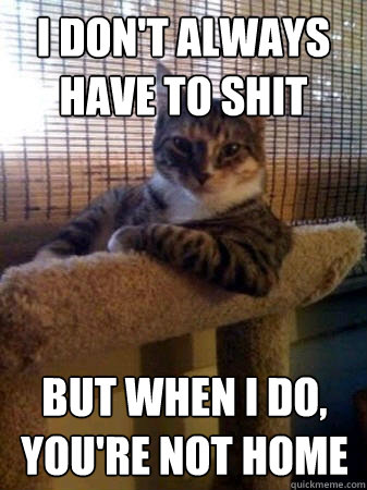 I don't always have to shit but when I do, you're not home  The Most Interesting Cat in the World
