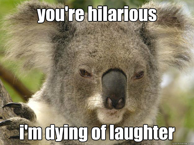 you're hilarious i'm dying of laughter - you're hilarious i'm dying of laughter  Serious koala