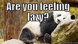ARE YOU FEELING LAZY?  Misc