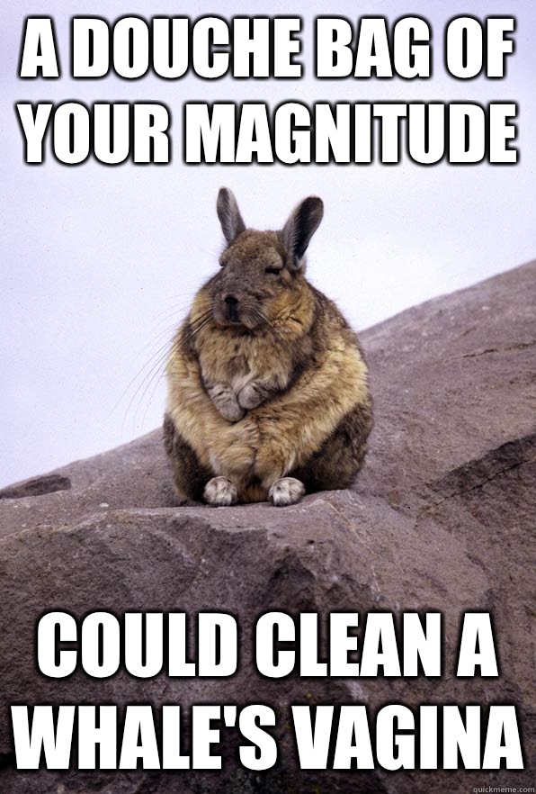 A douche bag of your magnitude Could clean a whale's vagina  Wise Wondering Viscacha