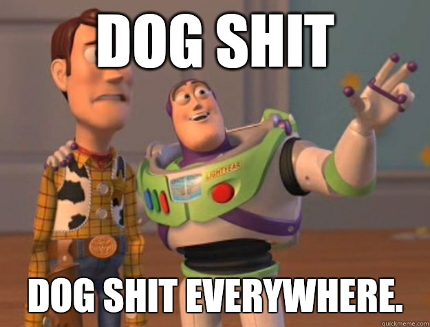 Dog shit Dog shit everywhere.  Buzz Lightyear
