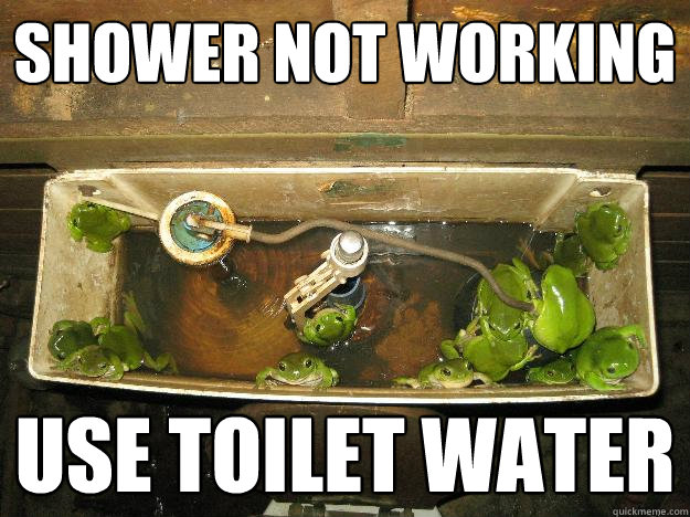 shower not working  use toilet water  - shower not working  use toilet water   Foul Bachelor Frogs