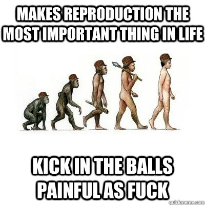 Makes reproduction the most important thing in life kick in the balls painful as fuck  