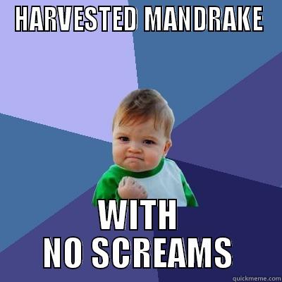 HARVESTED MANDRAKE WITH NO SCREAMS Success Kid