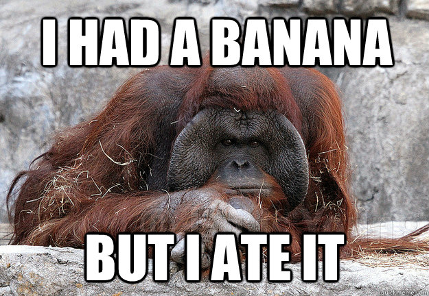 I had a Banana But i ate it  Orangutan World Problems