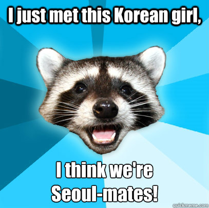 I just met this Korean girl, I think we're 
Seoul-mates!  Lame Pun Coon