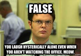 FALSE You laugh hysterically alone even when you aren't watching the office. Meow. - FALSE You laugh hysterically alone even when you aren't watching the office. Meow.  Dwight False