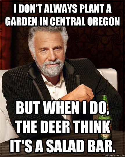 I don't always plant a garden in Central Oregon but when I do, the deer think it's a salad bar.  The Most Interesting Man In The World