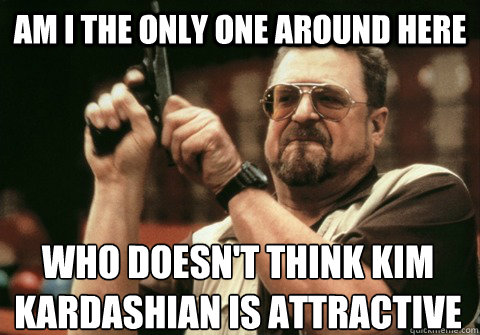 Am I the only one around here who doesn't think kim kardashian is attractive - Am I the only one around here who doesn't think kim kardashian is attractive  Am I the only one
