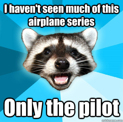 I haven't seen much of this airplane series Only the pilot  Lame Pun Coon