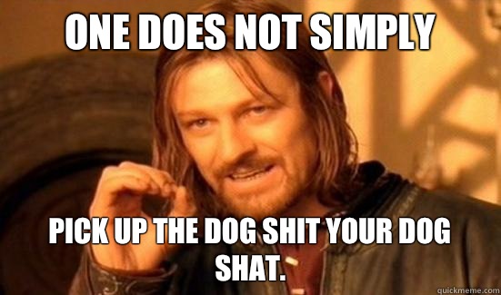 One Does Not Simply Pick up the dog shit your dog shat.  Boromir