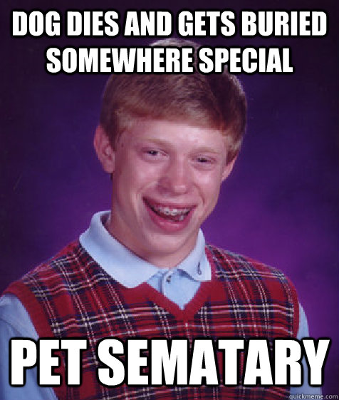 Dog dies and gets buried somewhere special pet sematary  Bad Luck Brian