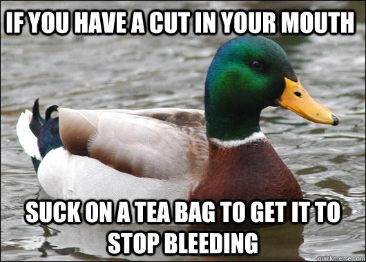 if you have a cut in your mouth suck on a tea bag to get it to stop bleeding  Actual Advice Mallard