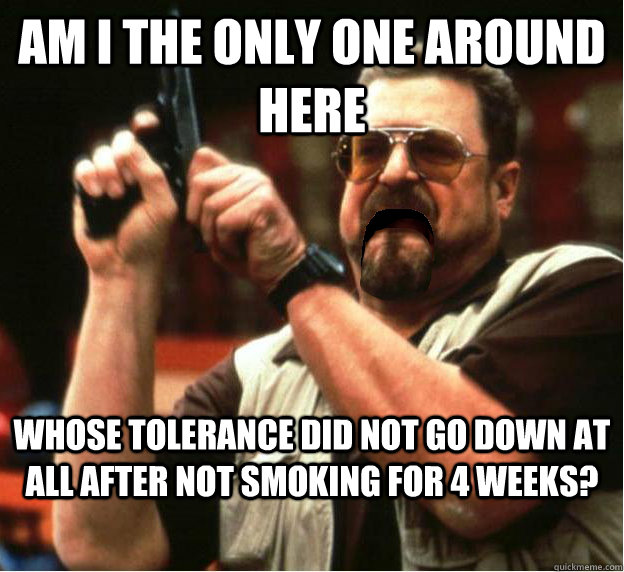 Am i the only one around here whose tolerance did not go down at all after not smoking for 4 weeks? - Am i the only one around here whose tolerance did not go down at all after not smoking for 4 weeks?  Misc