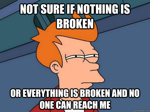 Not sure if nothing is broken Or everything is broken and no one can reach me  Futurama Fry