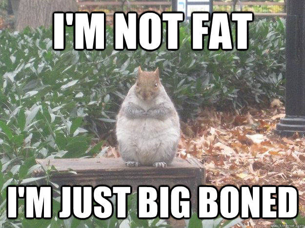 I'm not fat I'm just big boned - I'm not fat I'm just big boned  Fat Squirrel