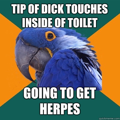 Tip of dick touches inside of toilet Going to get herpes  Paranoid Parrot