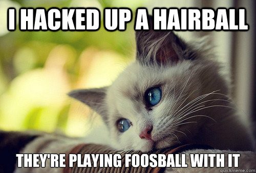 I hacked up a hairball they're playing foosball with it  First World Problems Cat