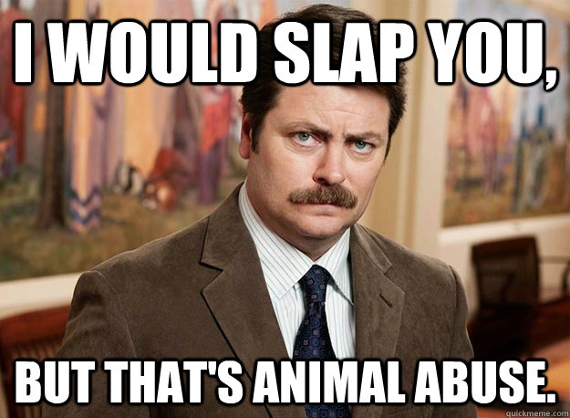 I would slap you, but that's animal abuse.  Ron Swanson on birthdays