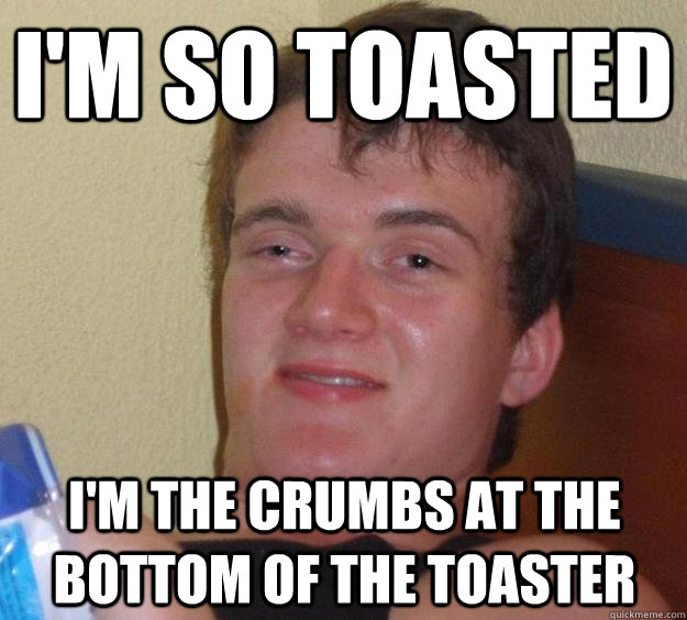 I'm so toasted I'm the crumbs at the bottom of the toaster  10 Guy