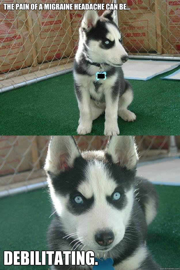 The pain of a migraine headache can be... debilitating.  Insanity puppy