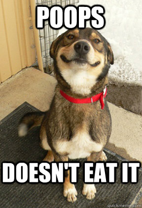 PooPS DOESN'T EAT IT  Good Dog Greg