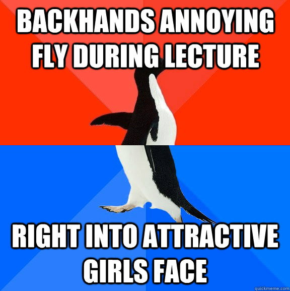 Backhands annoying fly during lecture Right into attractive girls face  Socially Awesome Awkward Penguin