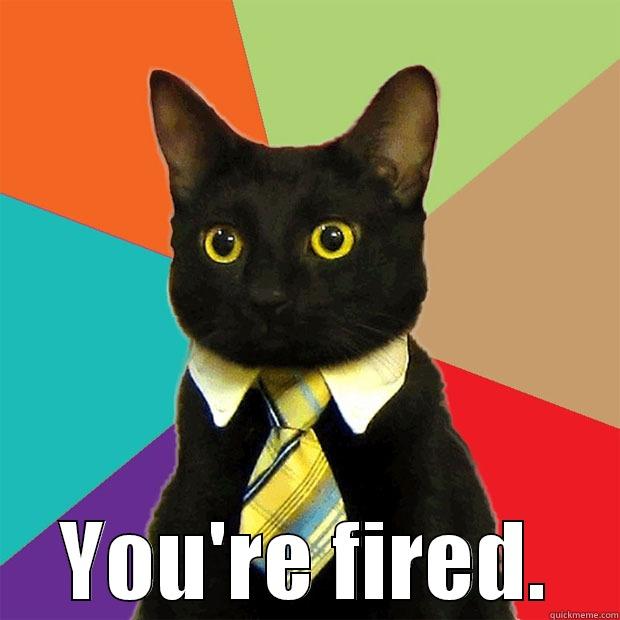  YOU'RE FIRED. Business Cat