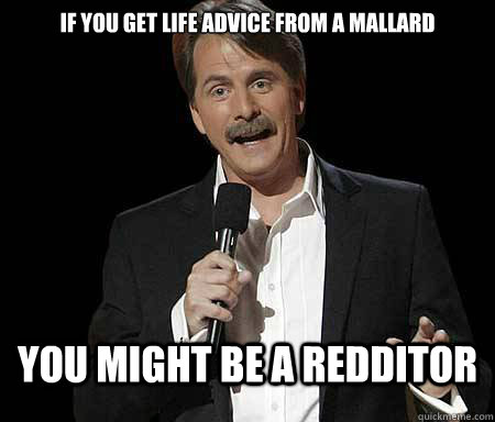 If you get life advice from a mallard you might be a redditor  Foxworthy Redditor