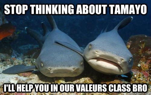 Stop thinking about tamayo I'll help you in our valeurs class bro  Compassionate Shark Friend