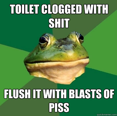 toilet clogged with shit flush it with blasts of piss  Foul Bachelor Frog