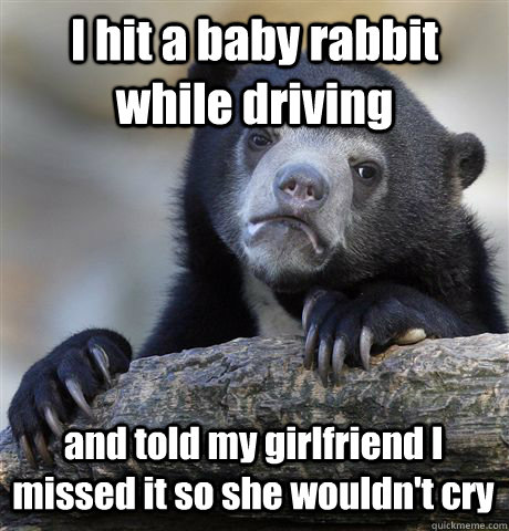 I hit a baby rabbit while driving and told my girlfriend I missed it so she wouldn't cry  Confession Bear