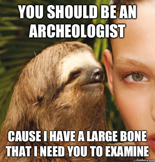 you should be an archeologist cause I have a large bone that i need you to examine  rape sloth
