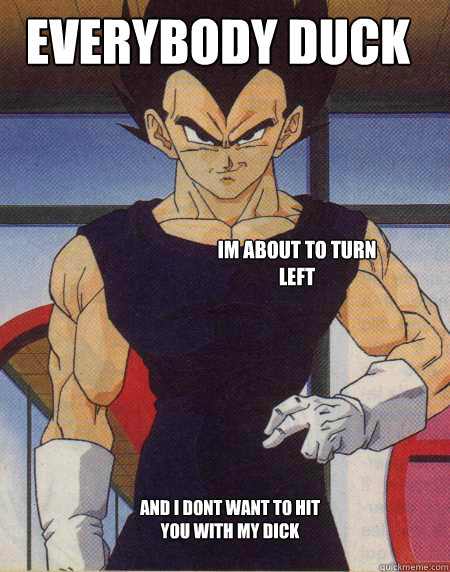 Everybody duck IM ABOUT TO TURN LEFT AND I DONT WANT TO HIT YOU WITH MY DICK  