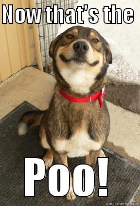NOW THAT'S THE  POO! Good Dog Greg