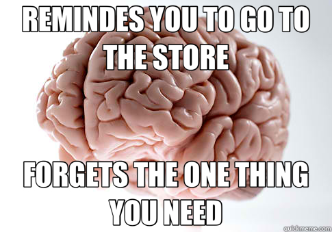 REMINDES YOU TO GO TO THE STORE FORGETS THE ONE THING YOU NEED  Scumbag Brain
