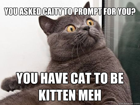 YOU ASKED CAITY TO PROMPT FOR YOU? YOU HAVE CAT TO BE KITTEN MEH - YOU ASKED CAITY TO PROMPT FOR YOU? YOU HAVE CAT TO BE KITTEN MEH  conspiracy cat