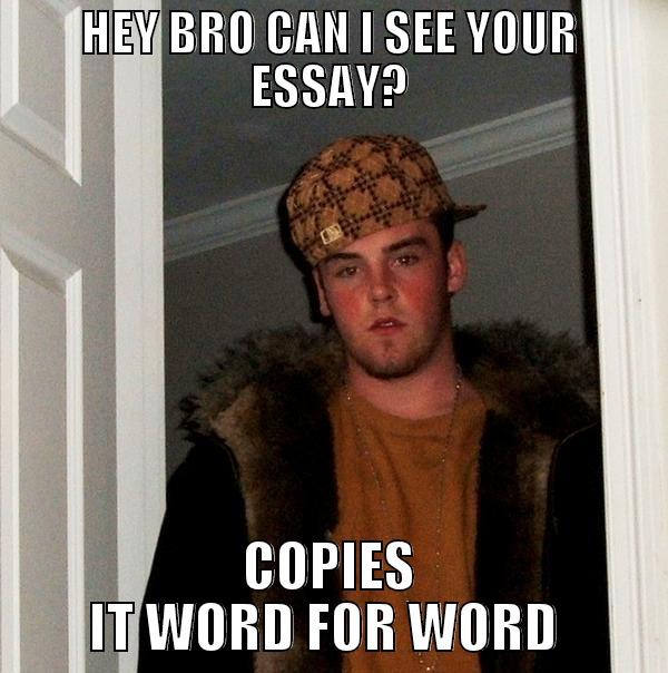 HEY BRO CAN I SEE YOUR ESSAY? COPIES IT WORD FOR WORD  Scumbag Steve